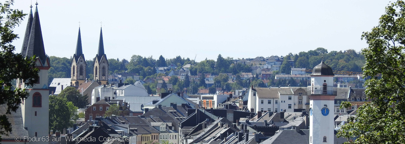 Stadtpanorama der Stadt Hof mit mehreren Kirchtürmen und dichtgedrängten Häusern