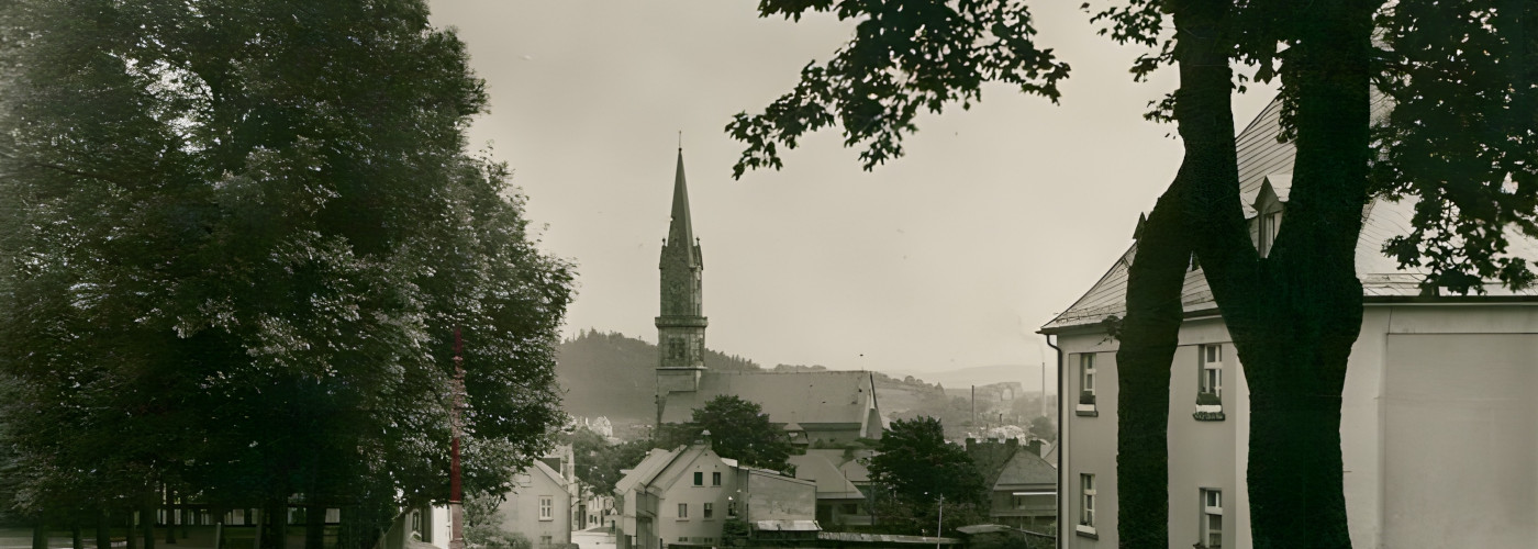 Blick auf die Stadt Naila mit Kirchturm, Häusern und Bäumen im Vordergrund.