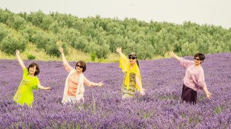 Vier Frauen in farbiger Kleidung stehen tanzend mit leicht erhobenen Armen in einem lila blühenden Lavendelfeld vor einem grünen Baumhintergrund.