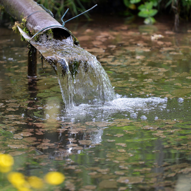 Wasser - Quell des Lebens