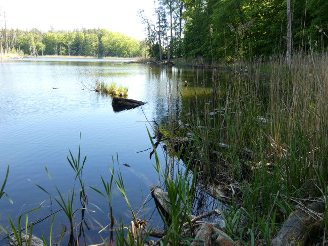 Müritz