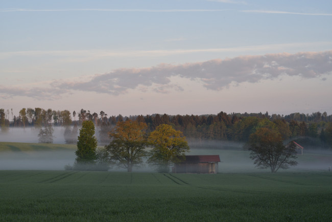 neblige Landschaft
